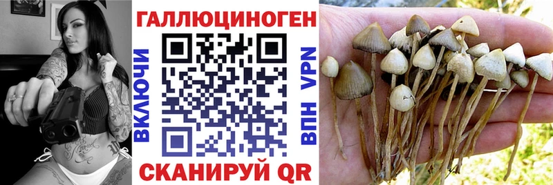 Псилоцибиновые грибы мицелий  блэк спрут рабочий сайт  Новошахтинск  где купить наркоту 
