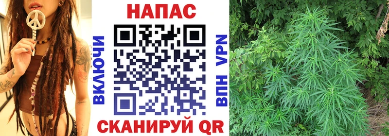 Бошки Шишки план Новошахтинск